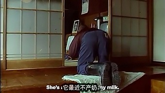 Noriko Sakai Trong Màn Trình Diễn Đầy Nước Mắt Khi Một Con Bò Đơn Độc Vào Buổi Sáng